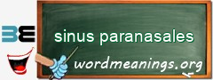 WordMeaning blackboard for sinus paranasales